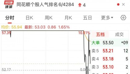 刚刚，资金猛砸，超级牛股跳水！全天最惨回撤近24%（附名单）